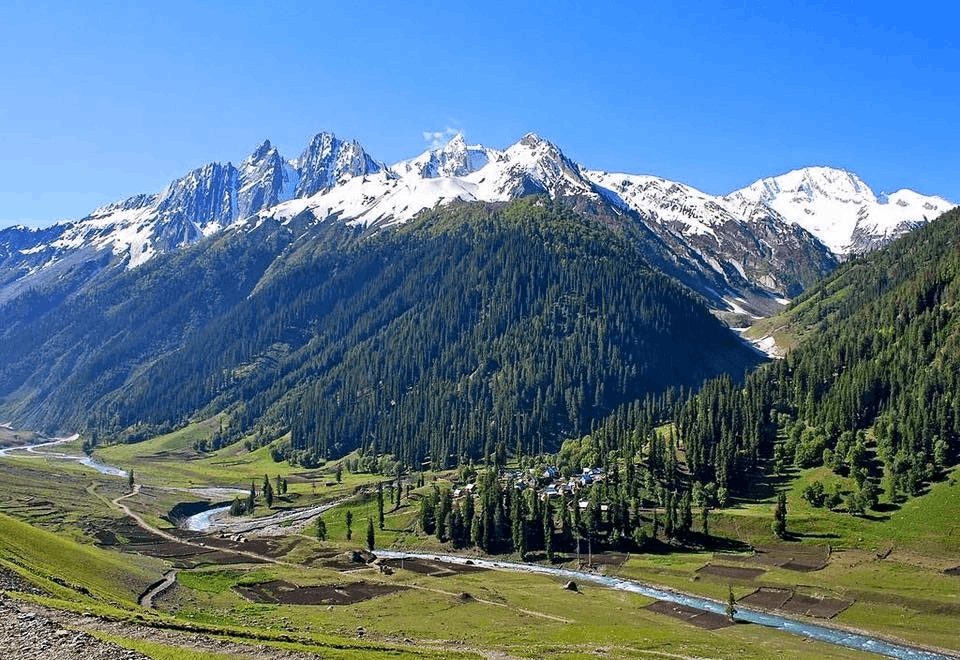 Scenic Sonamarg valley with snow-capped mountains, pine forests, and Sindh River flowing through lush meadows.