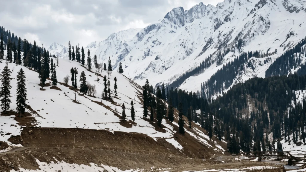 Snow-covered mountains and pine forests along the route from Zero Point to Thajiwas Glacier with a narrow road and bridge in view.