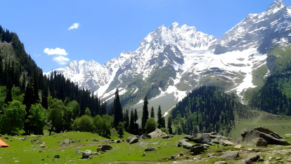 Thajiwas Glacier near Sonamarg with snow-covered Himalayan peaks, green meadows, and pine trees under a clear blue sky.